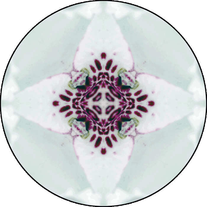 Daily Digital Mandala 938