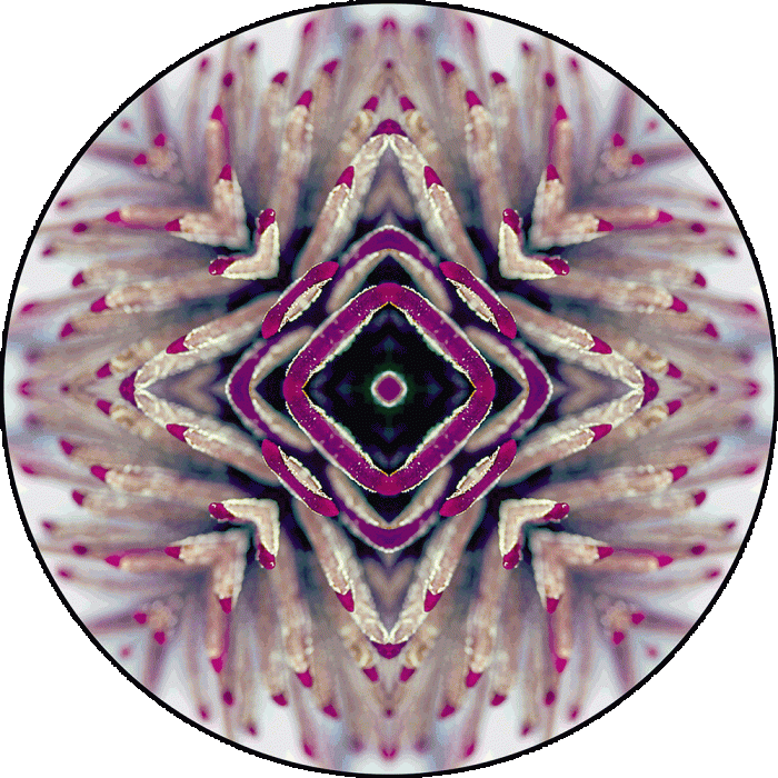 Daily Digital Mandala 942
