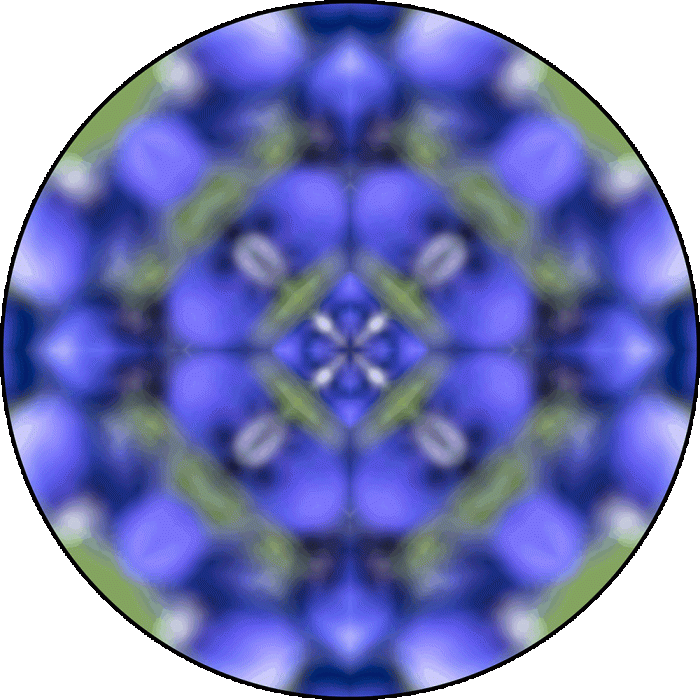 Daily Digital Mandala 929