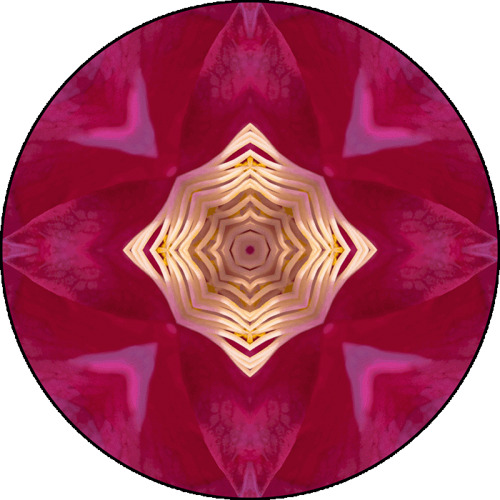 Daily Digital Mandala 1015