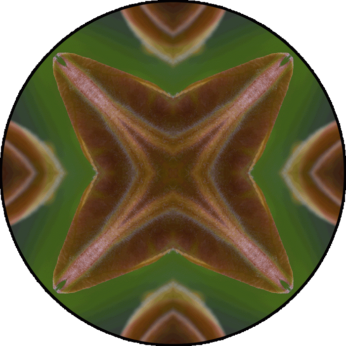 Daily Digital Mandala 945
