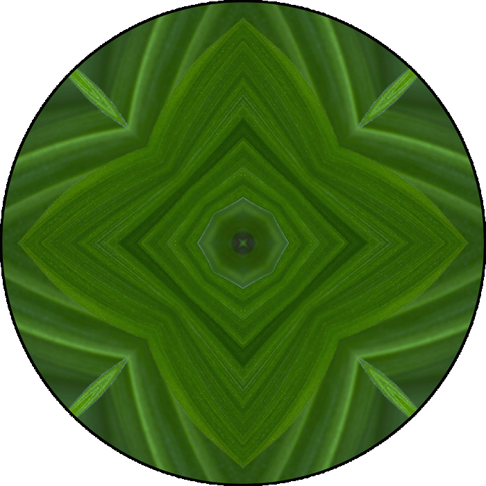 Daily Digital Mandala 931