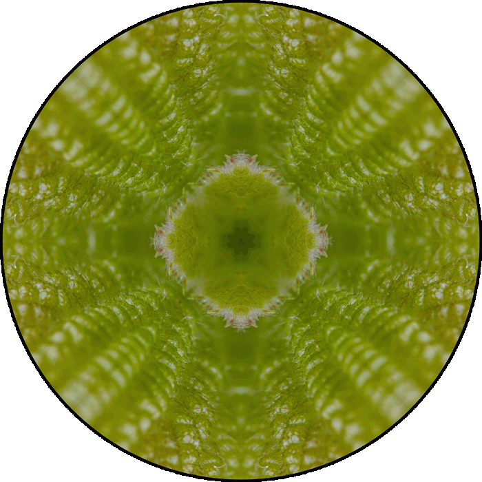 Daily Digital Mandala 934