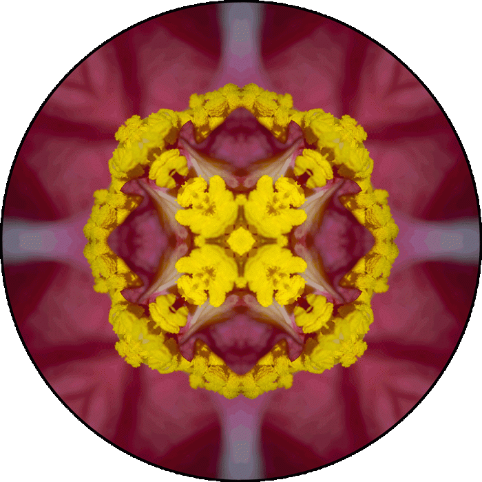 Daily Digital Mandala 948