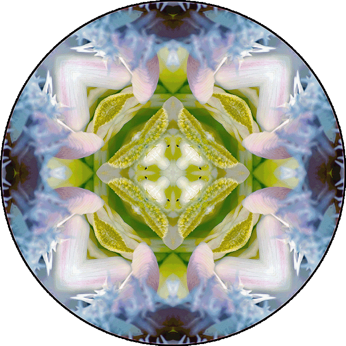 Daily Digital Mandala 954