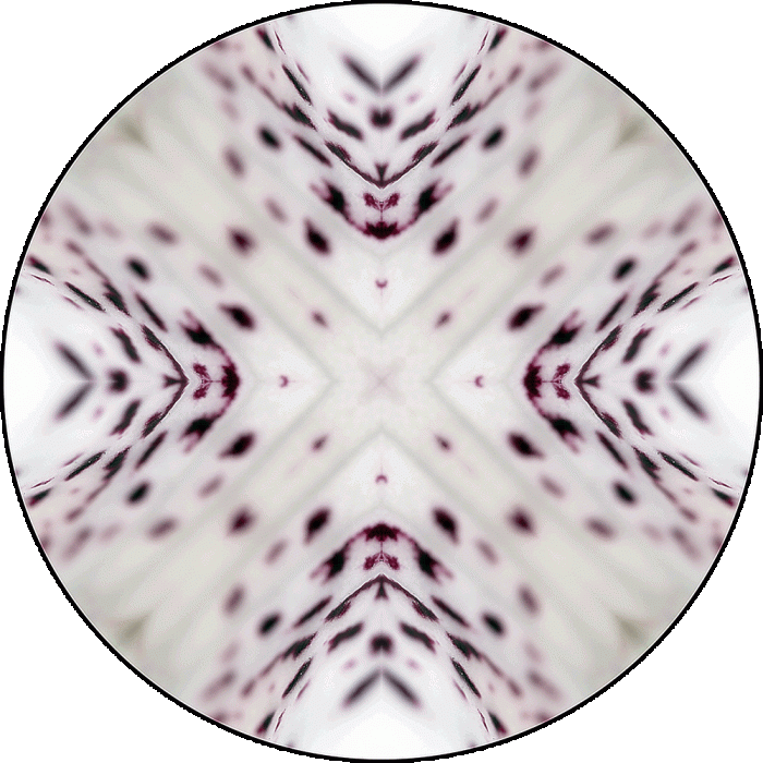 Daily Digital Mandala 957