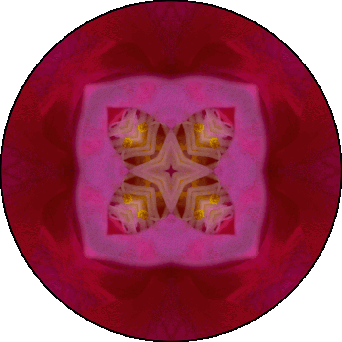 Daily Digital Mandala 944