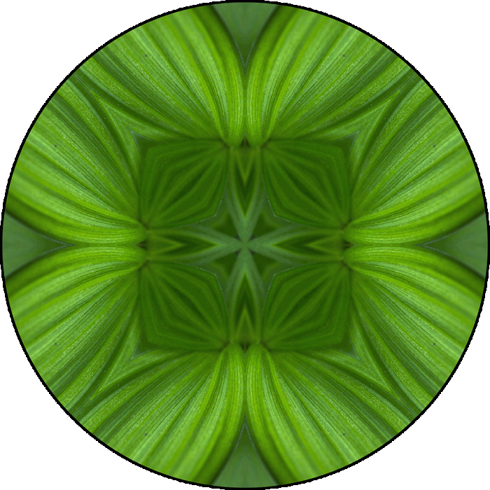 Daily Digital Mandala 949