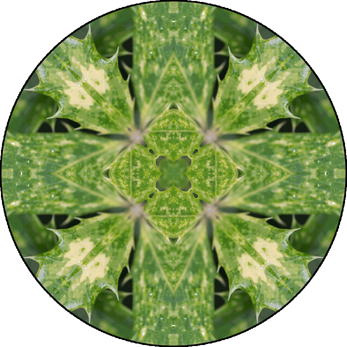 Daily Digital Mandala 950