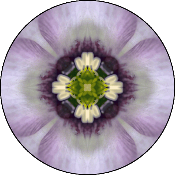 Daily Digital Mandala 953