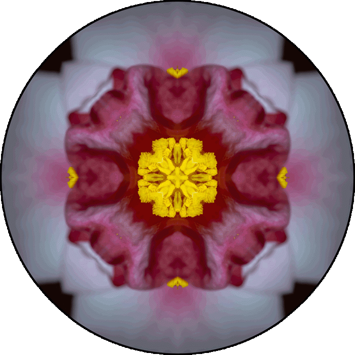 Daily Digital Mandala 966