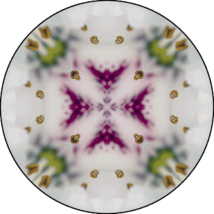 Daily Digital Mandala 974