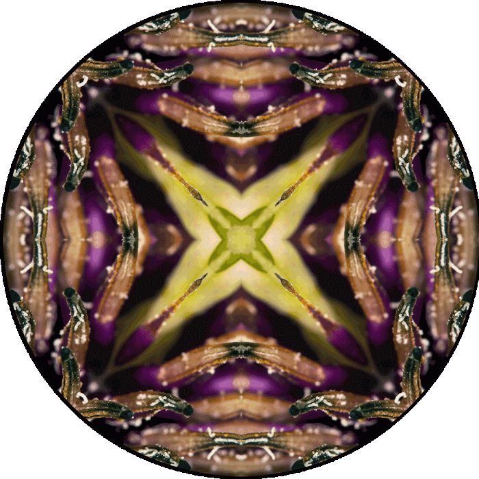 Daily Digital Mandala 976