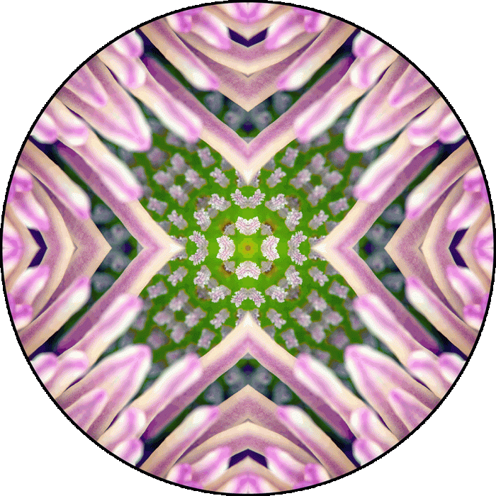 Daily Digital Mandala 977