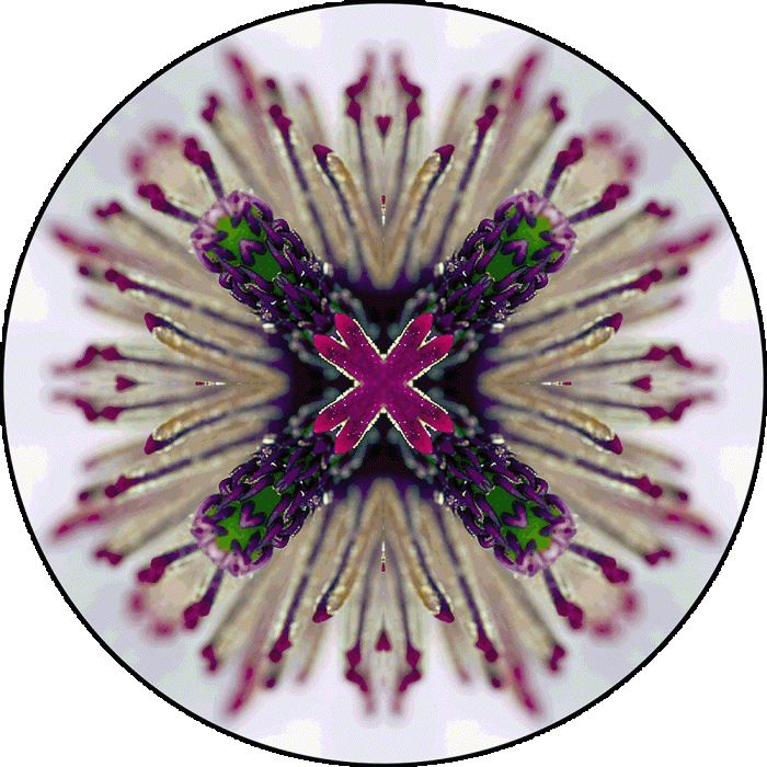 Daily Digital Mandala 978