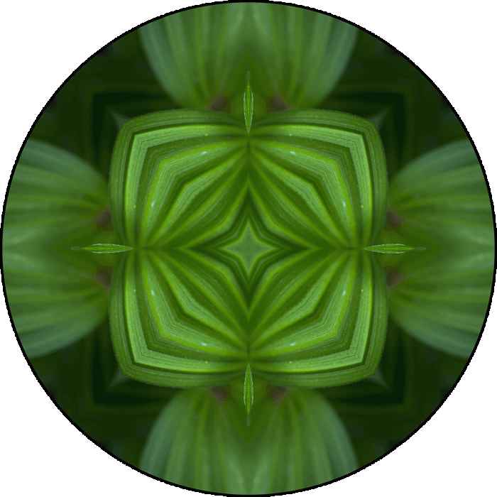Daily Digital Mandala 967
