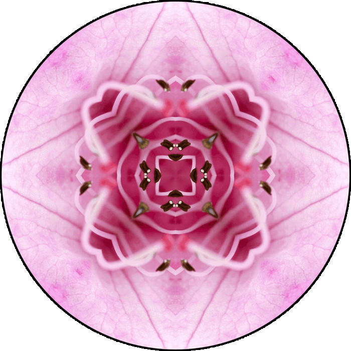 Daily Digital Mandala 979
