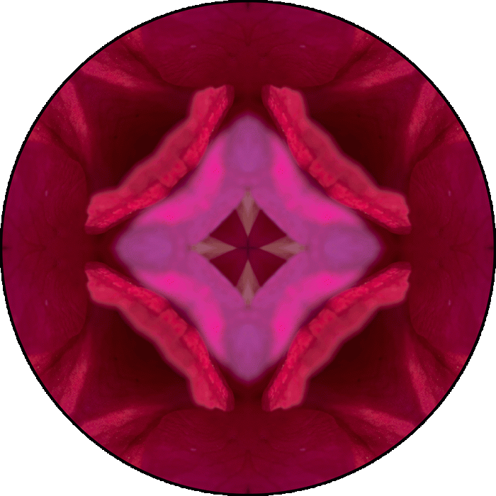 Daily Digital Mandala 962