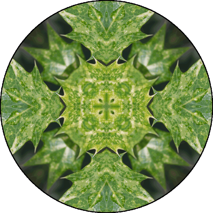 Daily Digital Mandala 968