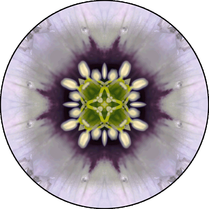 Daily Digital Mandala 971