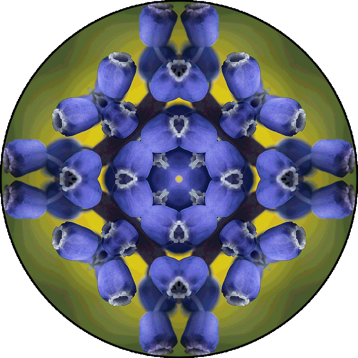 Daily Digital Mandala 982