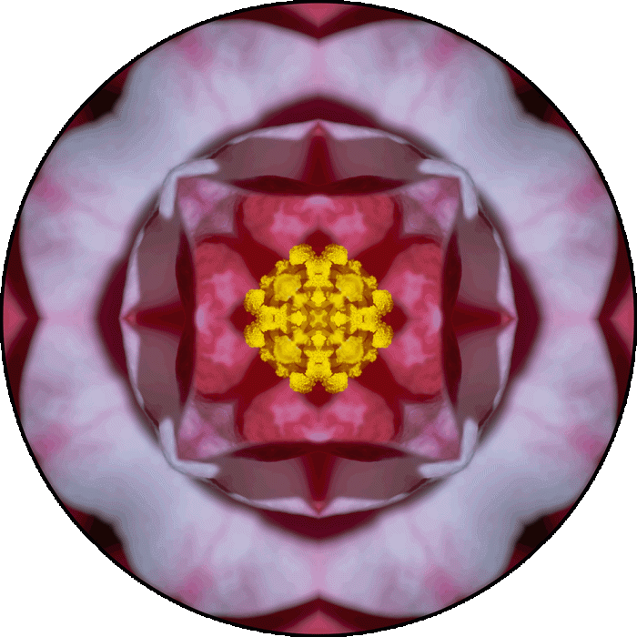 Daily Digital Mandala 984