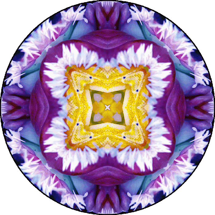 Daily Digital Mandala 989
