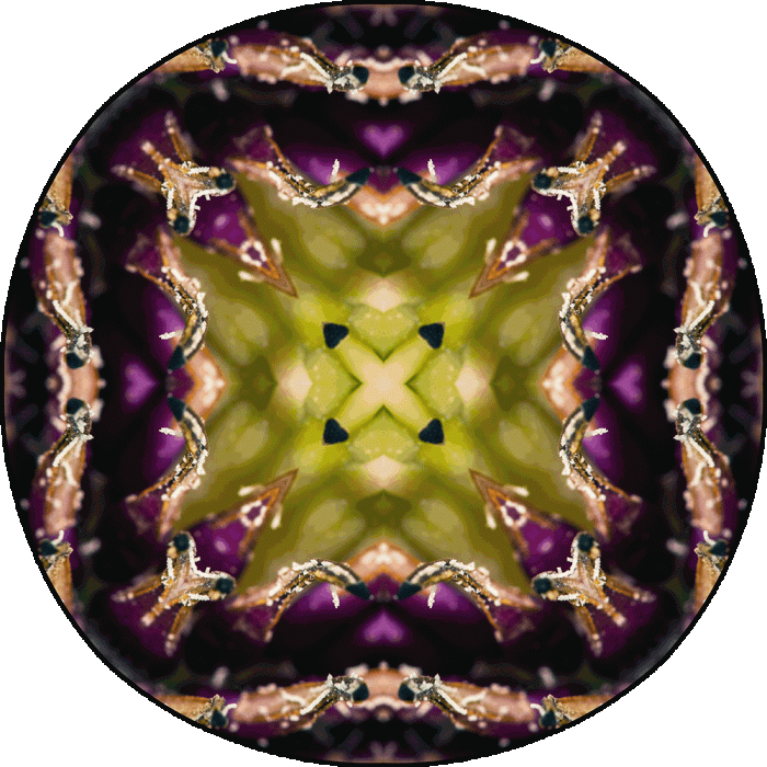 Daily Digital Mandala 993