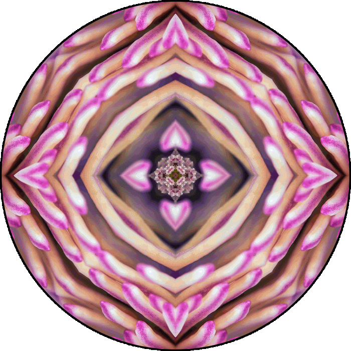 Daily Digital Mandala 994