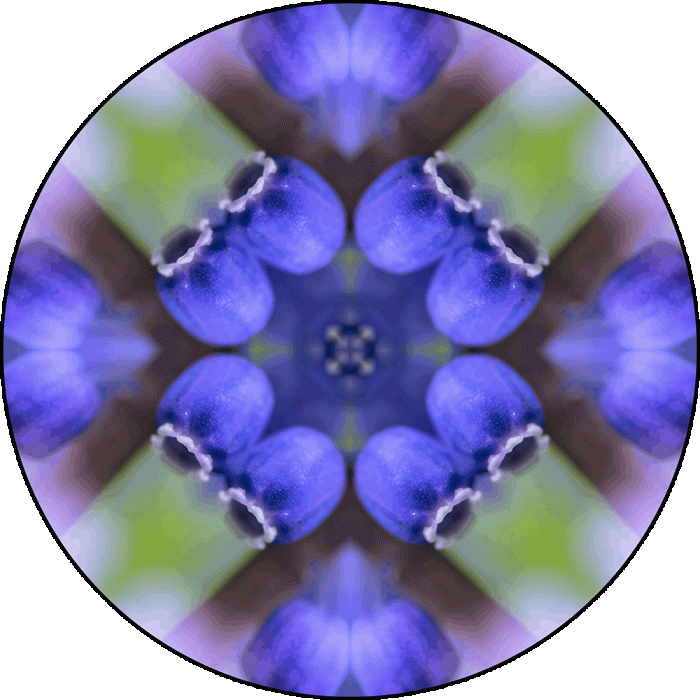 Daily Digital Mandala 983