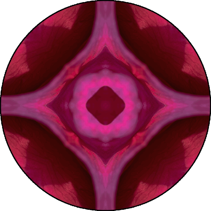 Daily Digital Mandala 980