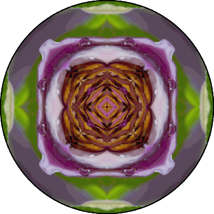 Daily Digital Mandala 969