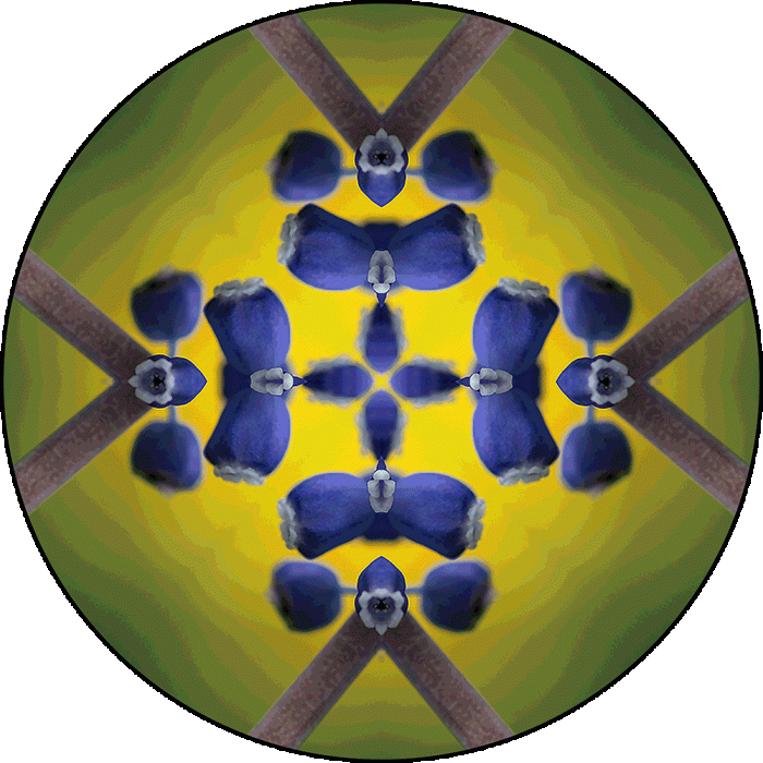 Daily Digital Mandala 999