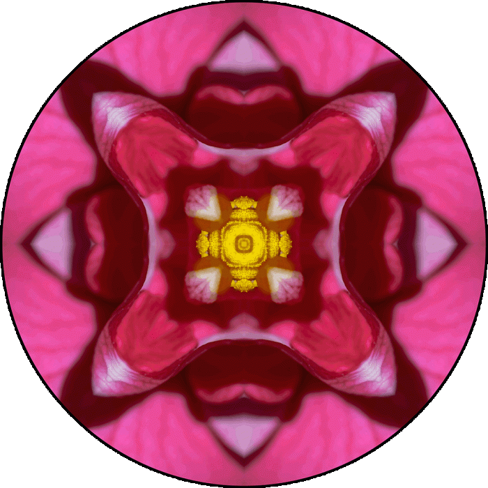 Daily Digital Mandala 1001