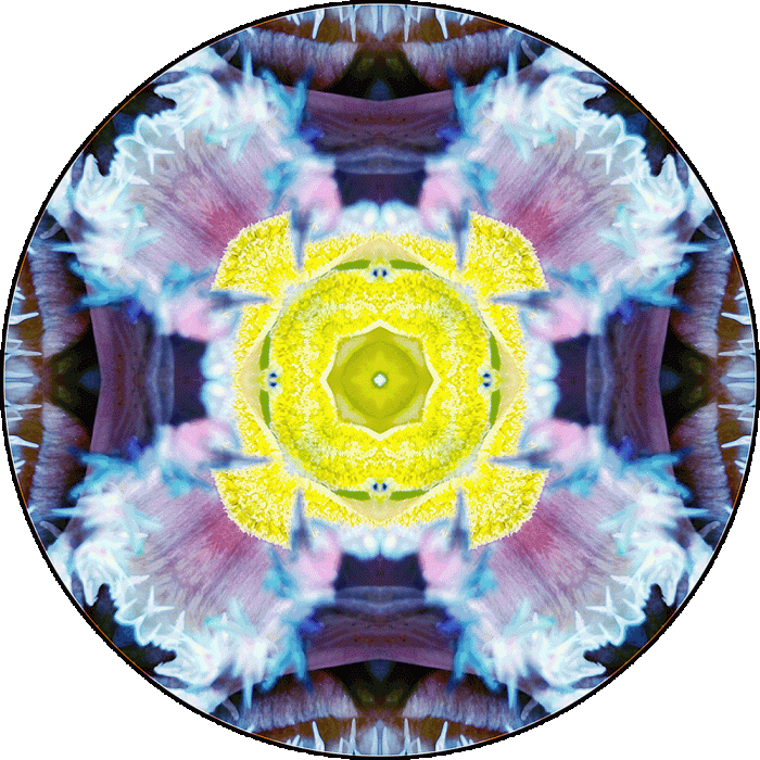 Daily Digital Mandala 1007
