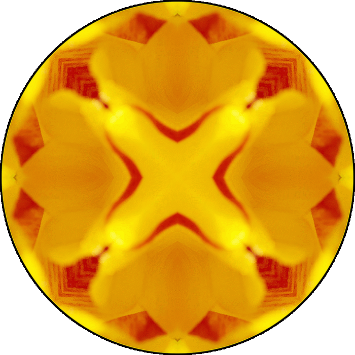 Daily Digital Mandala 1007