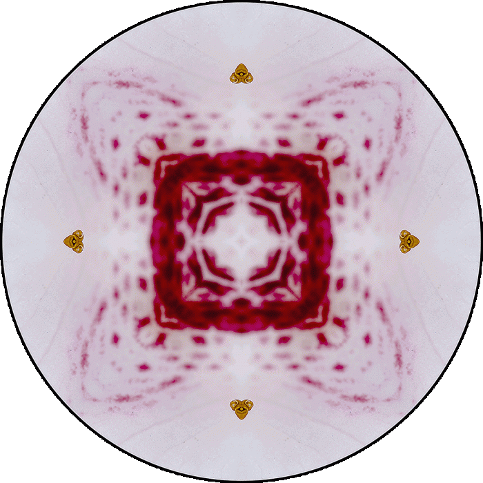 Daily Digital Mandala 1009