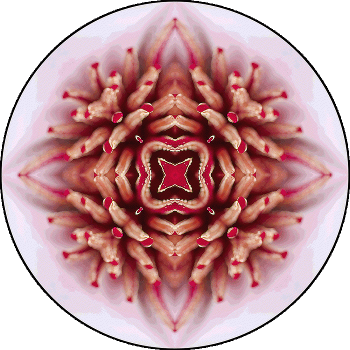 Daily Digital Mandala 1013