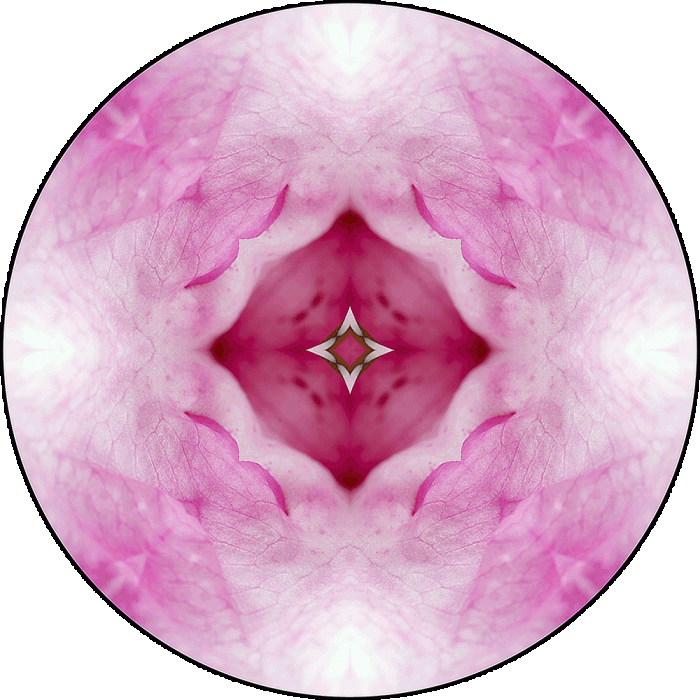 Daily Digital Mandala 1014