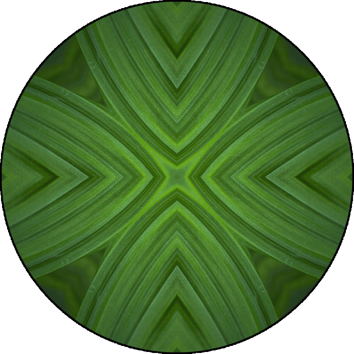 Daily Digital Mandala 1002