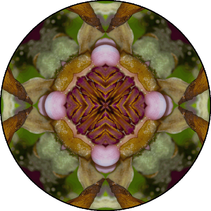 Daily Digital Mandala 986