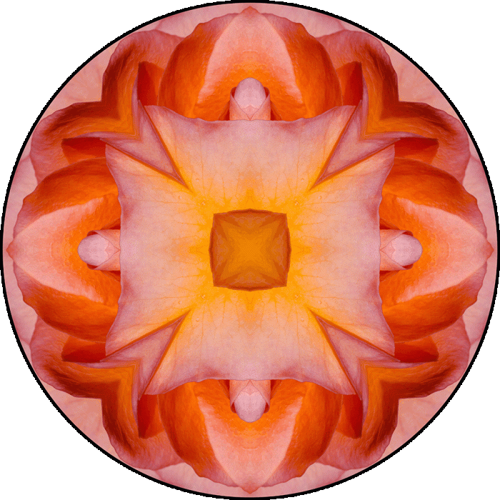 Daily Digital Mandala 1029