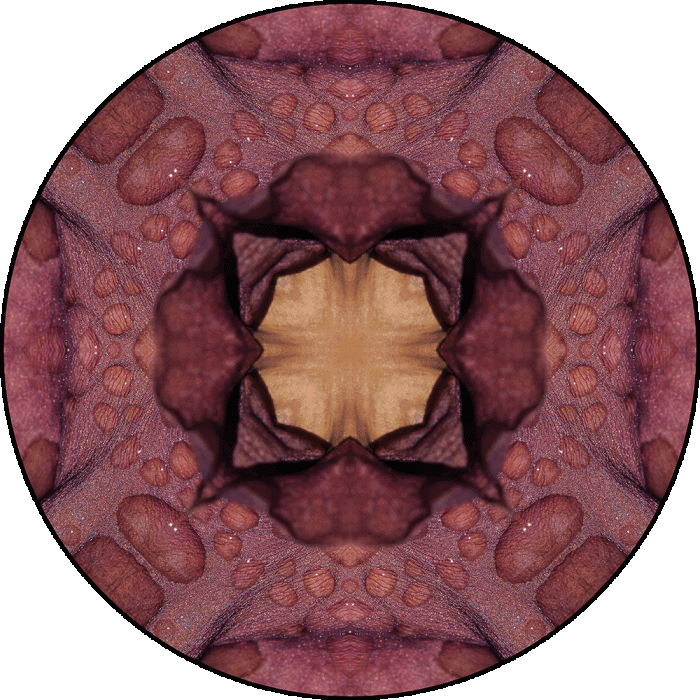 Daily Digital Mandala 1037