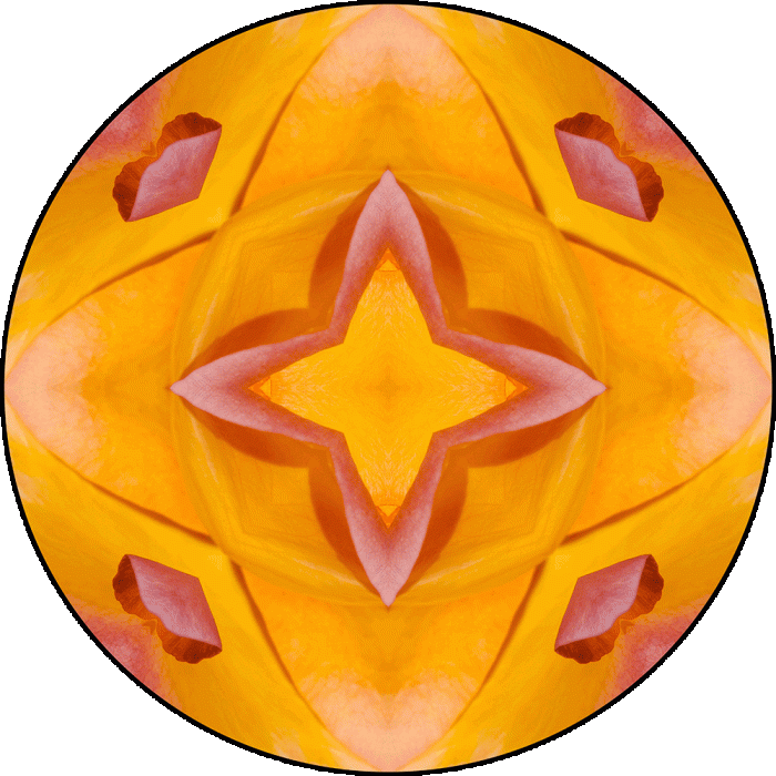 Daily Digital Mandala 1043