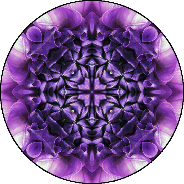 Daily Digital Mandala 1045