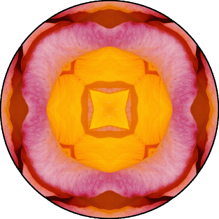Daily Digital Mandala 1057