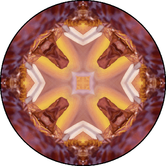 Daily Digital Mandala 1065