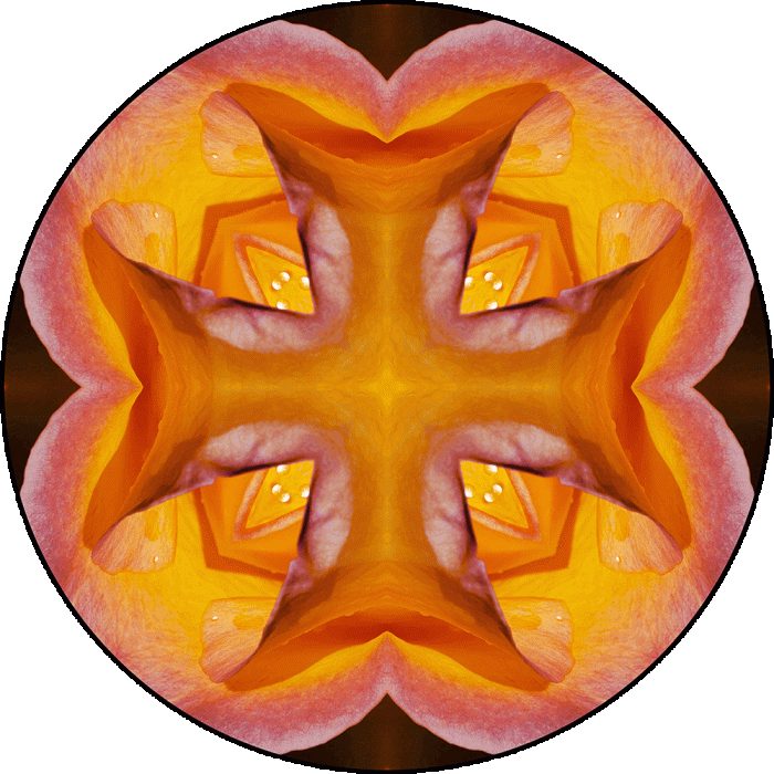 Daily Digital Mandala 1071