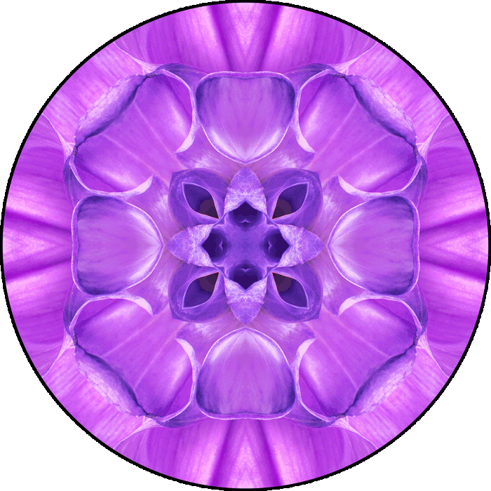 Daily Digital Mandala 1073