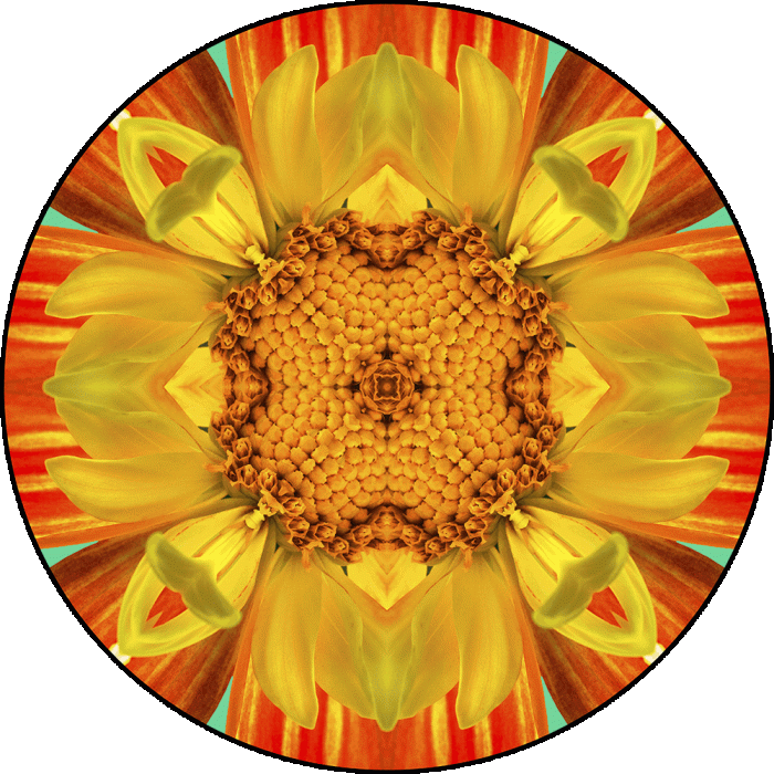 Daily Digital Mandala 1078